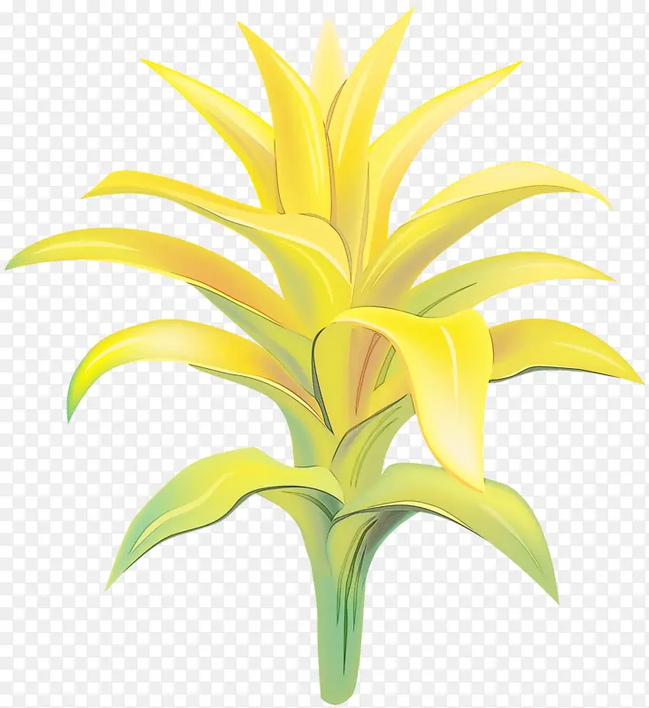 水彩画 颜料 湿墨