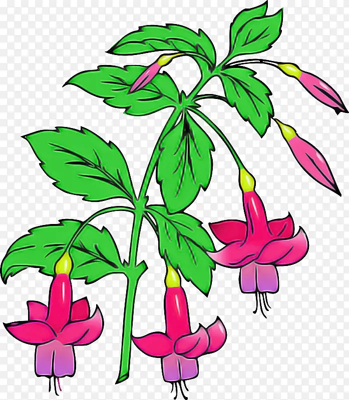 花卉设计 叶 植物茎