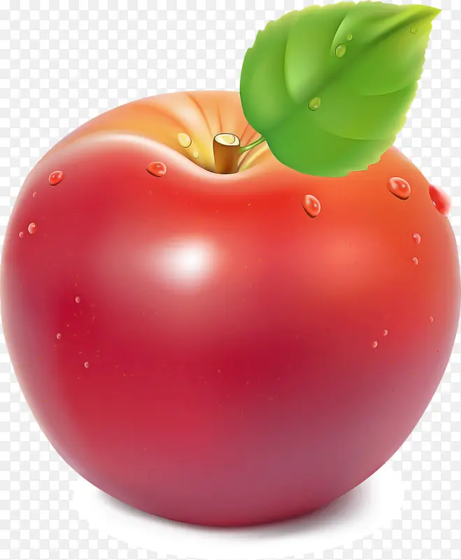 番茄 天然食品 超级食品