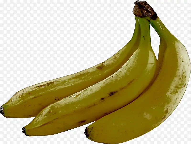 萨巴香蕉 烹饪香蕉 天然食品