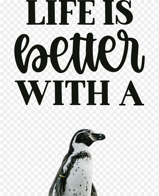 生活 更好 企鹅