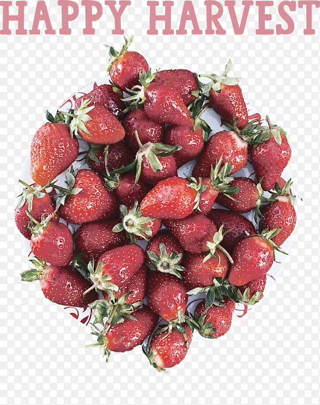 快乐收获 收获时间 草莓