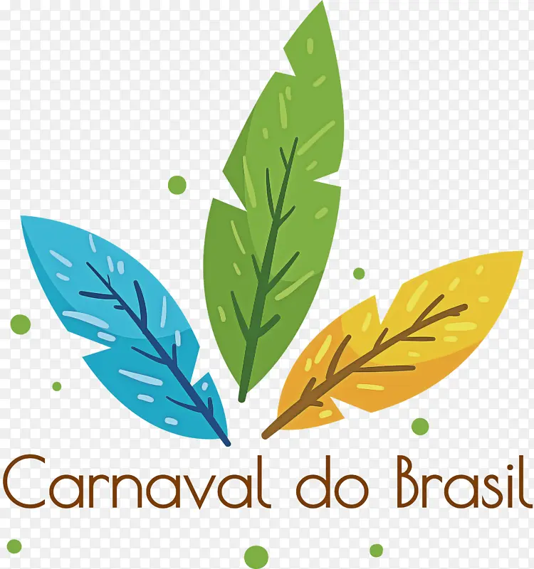 巴西狂欢节 狂欢节 穆尔加
