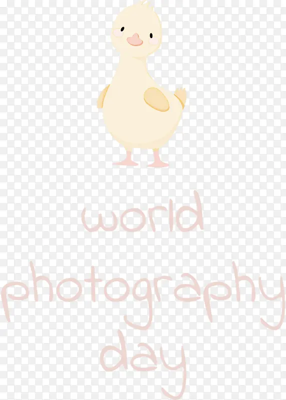 世界摄影日 鸟 鸭