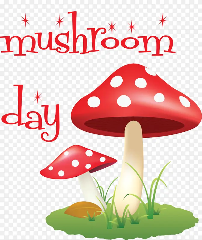 蘑菇 真菌 香菇