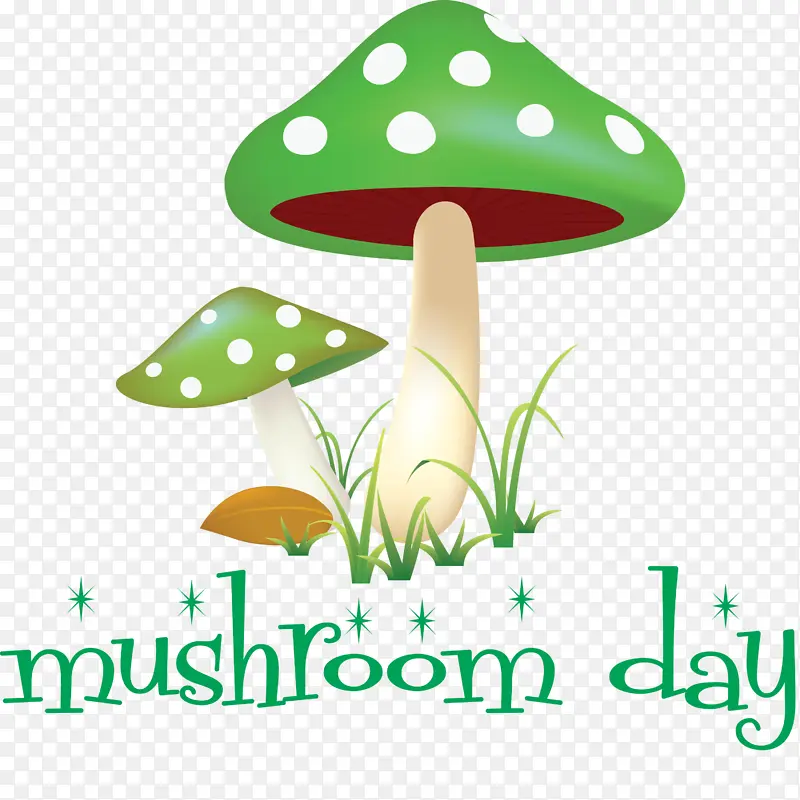 蘑菇 真菌 香菇