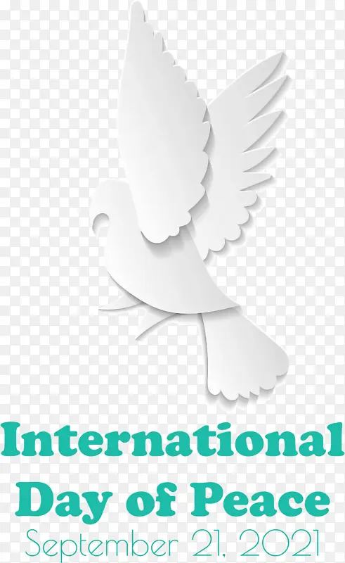 国际和平日 和平日 鸟类