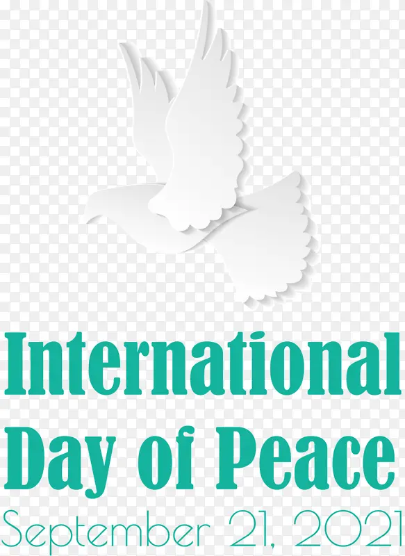 国际和平日 和平日 鸟