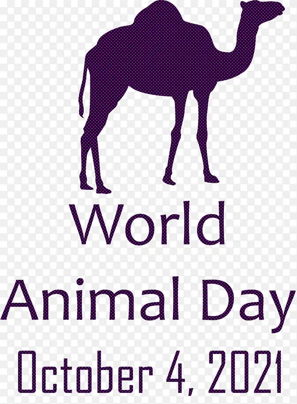 世界动物日 动物日 单峰骆驼