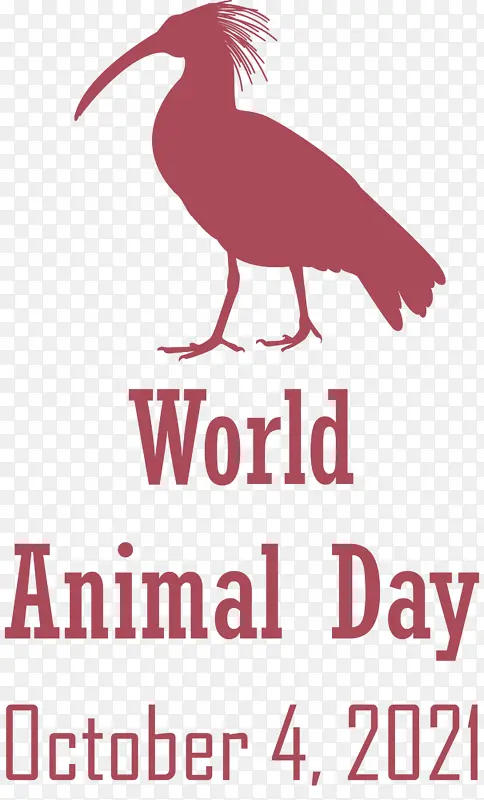 世界动物日 动物日 鸟类