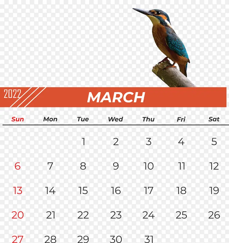 鸟类 喙 日历