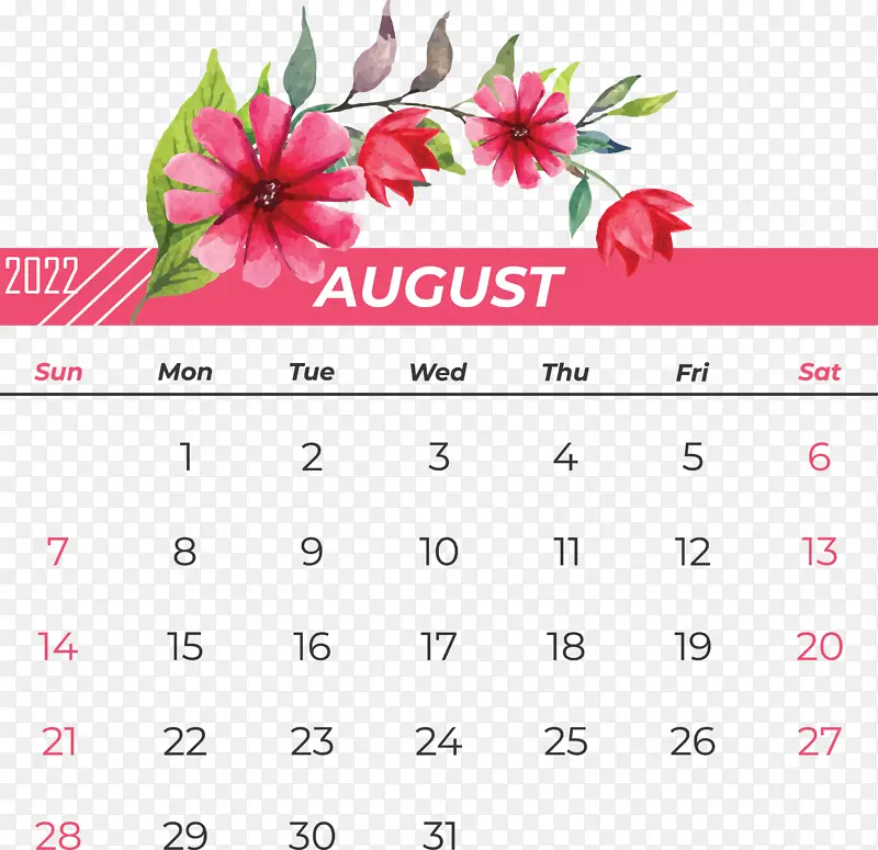 日历 花 花瓣