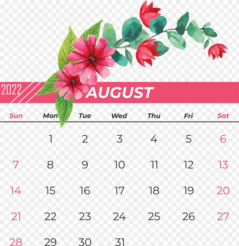 花 日历 花瓣