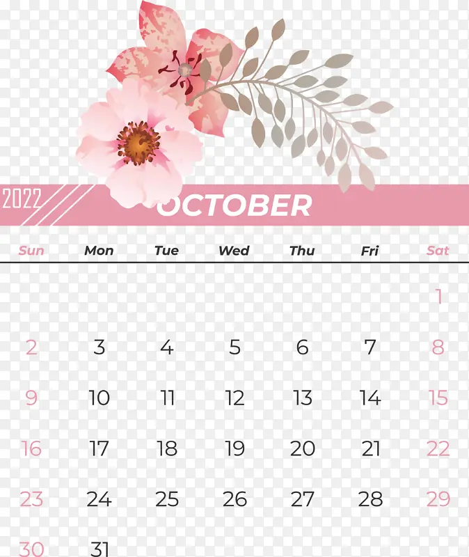 日历 花 花瓣