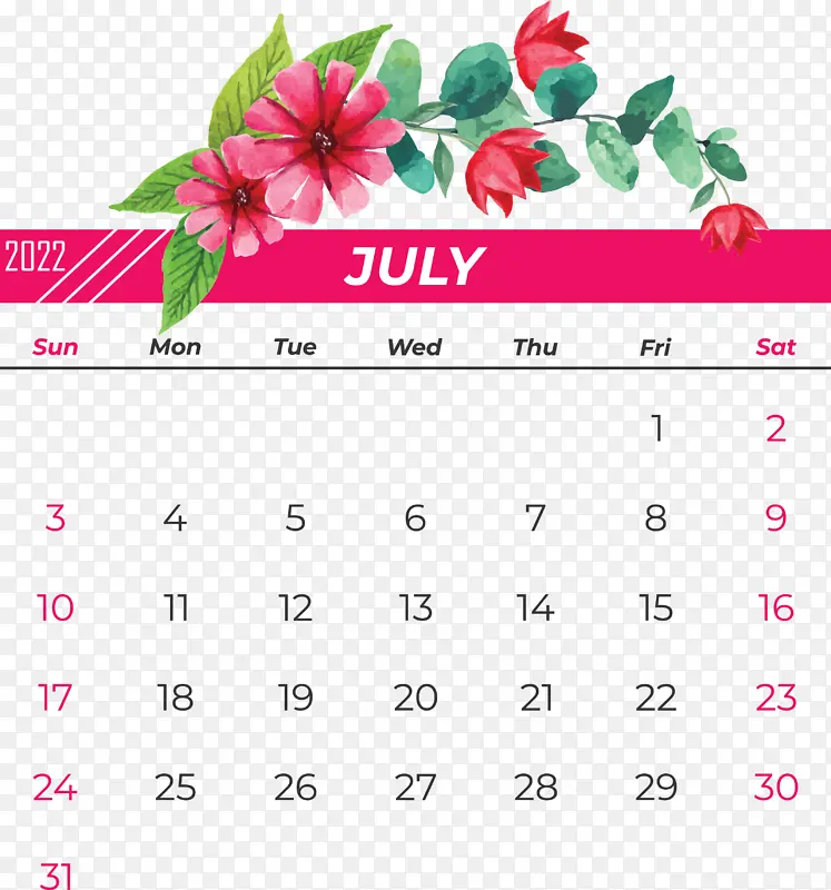 花 日历 花瓣