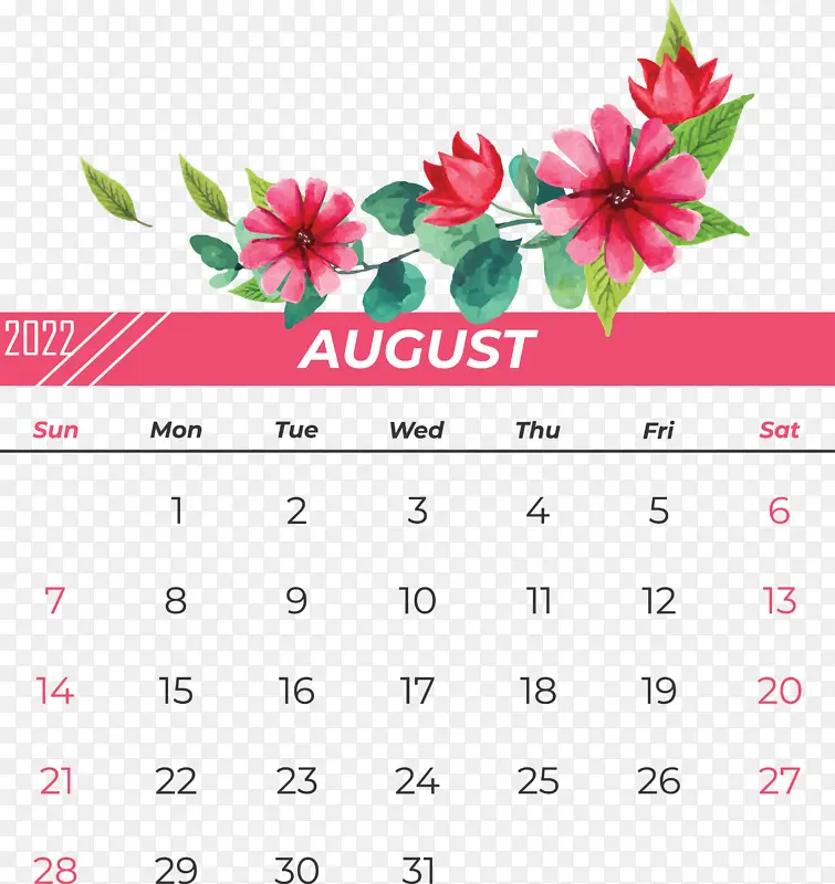 花 日历 花瓣