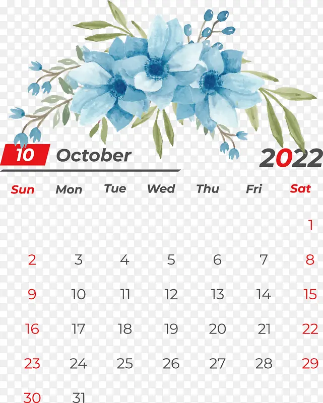 花卉设计 花卉 海葵