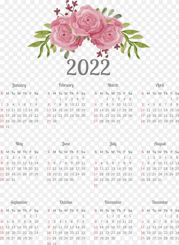 花卉设计 日历 植物