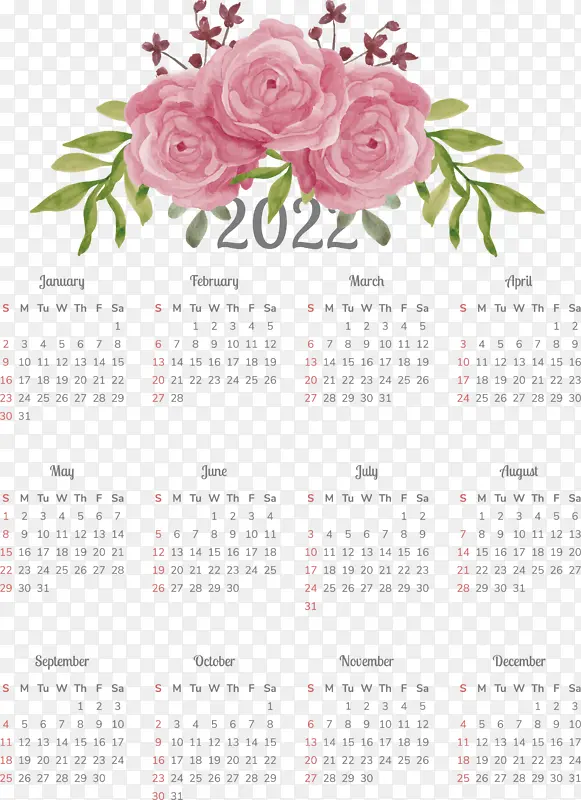 花卉设计 花卉 日历