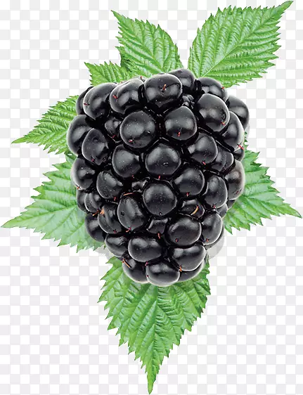 鲜嫩多汁的黑莓