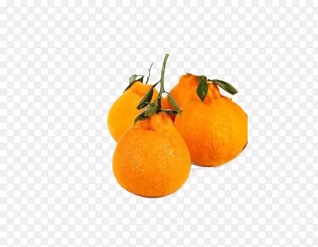 四个橙色四川特色水果丑桔