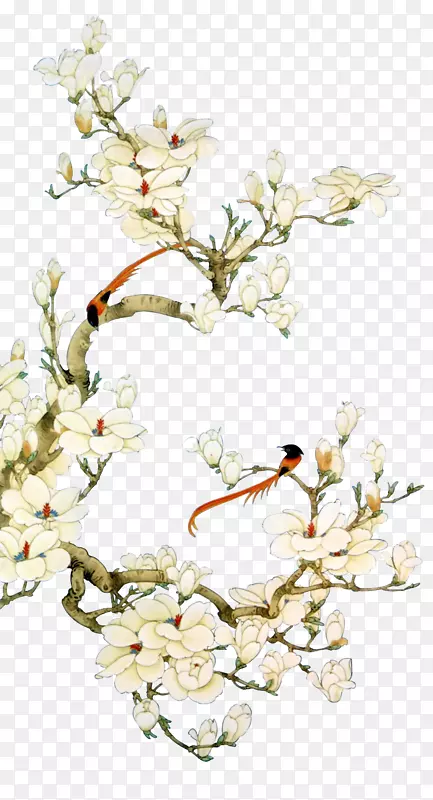 中国风白色花鸟装饰素材