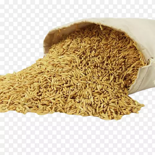 稻子稻谷丰收png