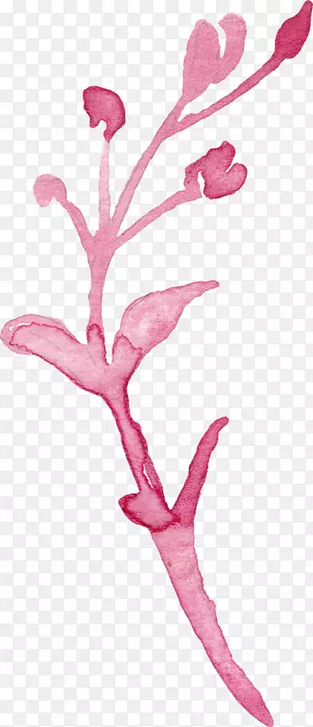 卡通粉色花朵植物