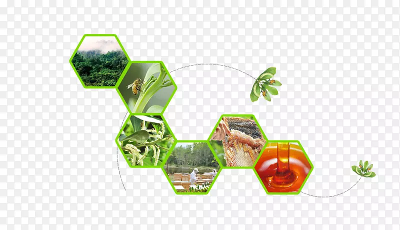 详情排版素材