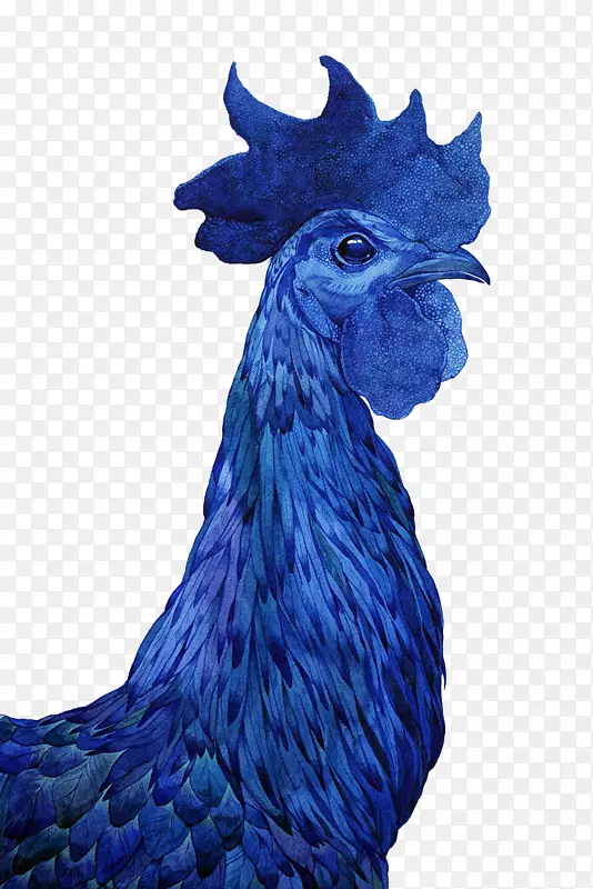 蓝色鸡头图案