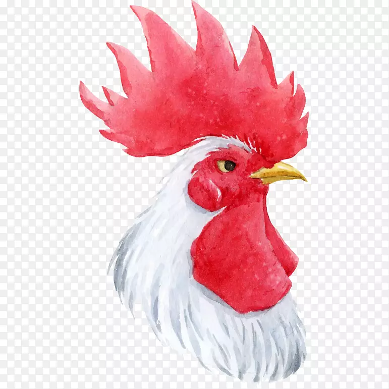 卡通手绘水彩公鸡鸡头