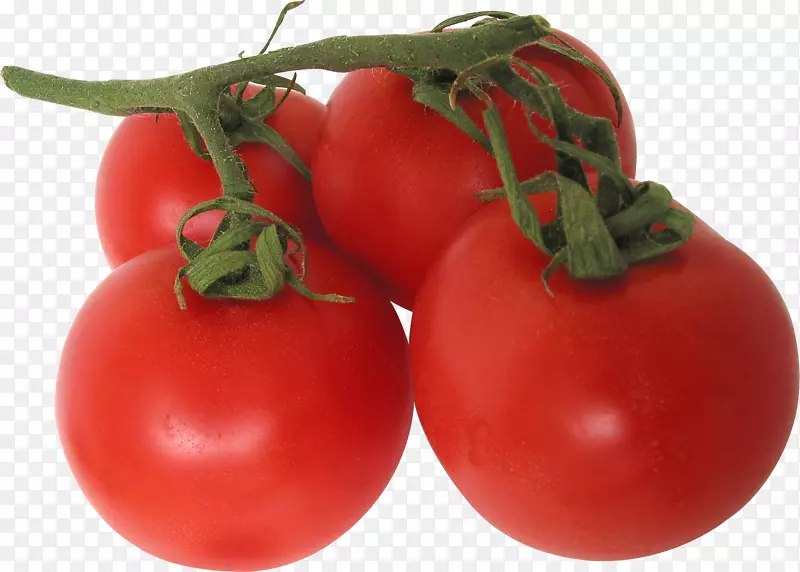 番茄新鲜西红柿圣女果