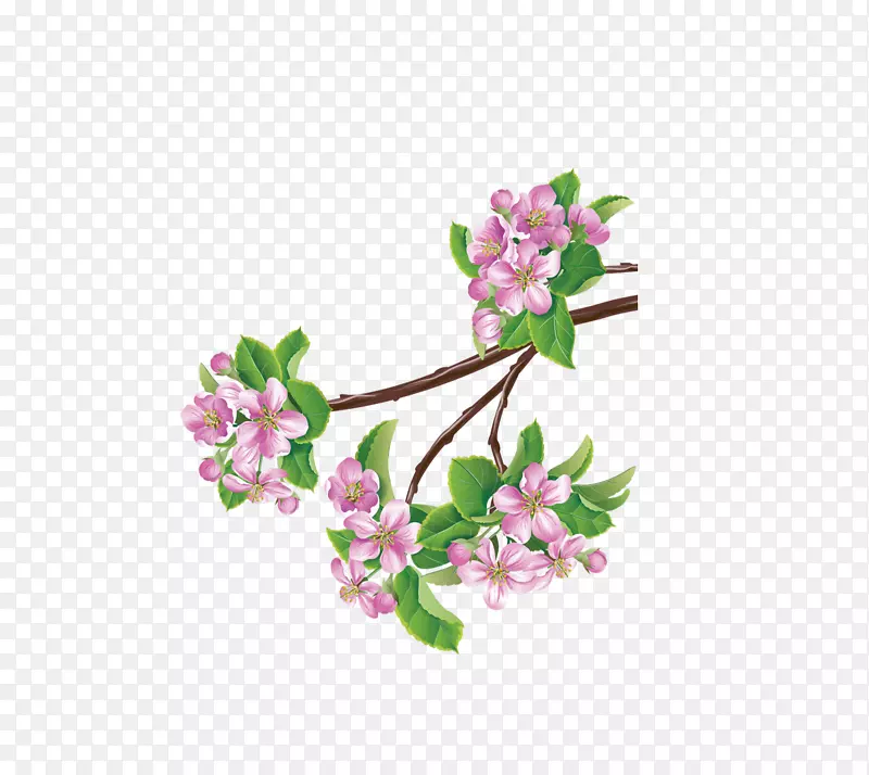桃花枝干上的美丽桃花