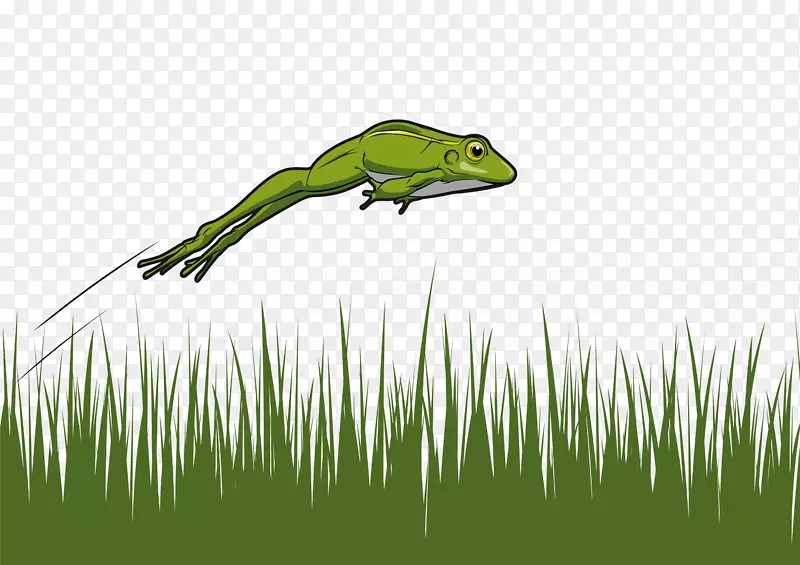 草丛上跳跃的青蛙