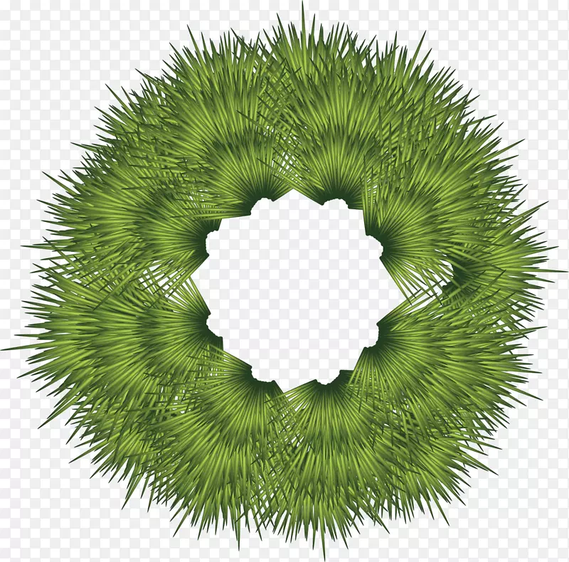 绿色植物草圈