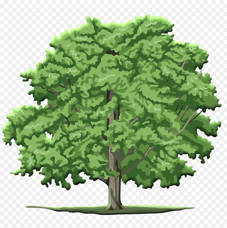 卡通茂密绿树——植树节免扣素材