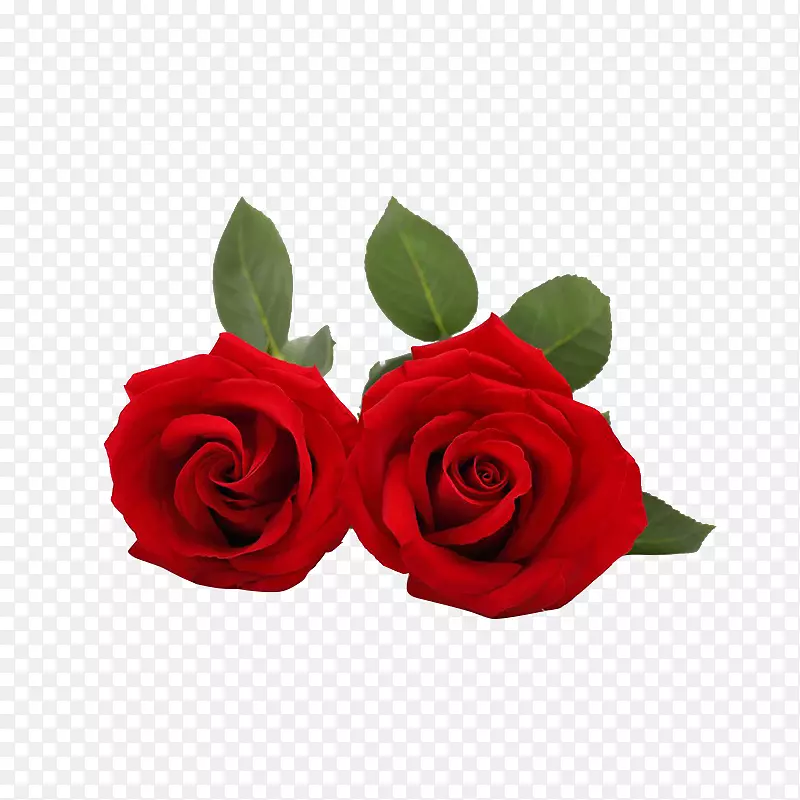 装饰的玫瑰花