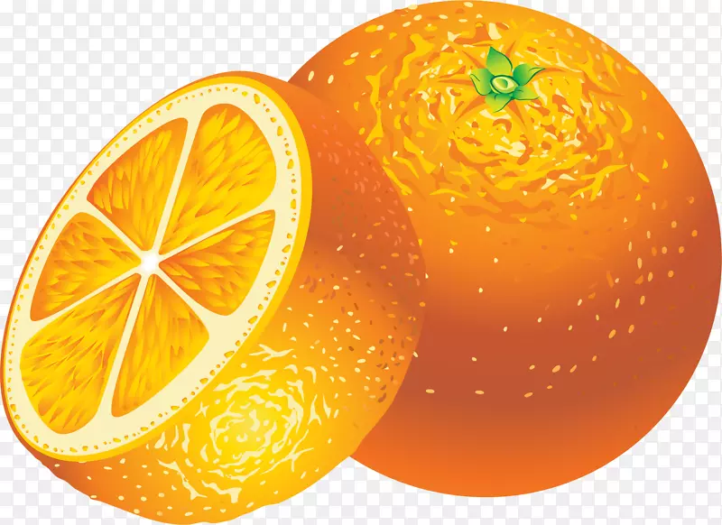 橙色简约橘子
