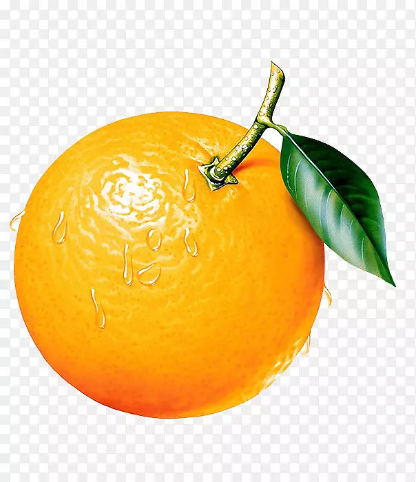 橙子上的水滴