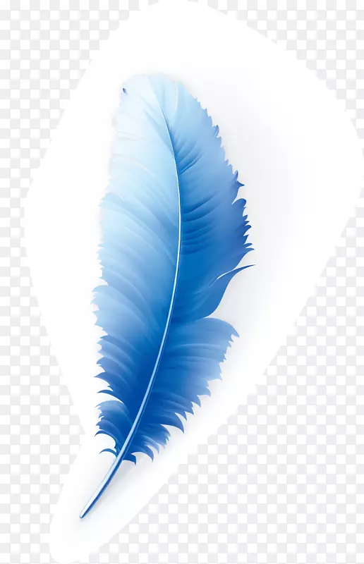 蓝色羽毛装饰
