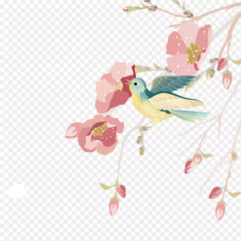 水彩绘春季花枝上的鸟