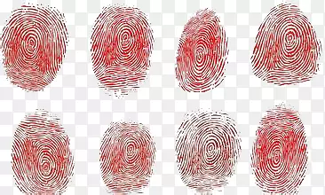 指纹PNG图片素材下载_图片编号7272664-PNG素材网