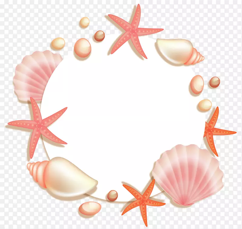 粉红贝壳海星边框