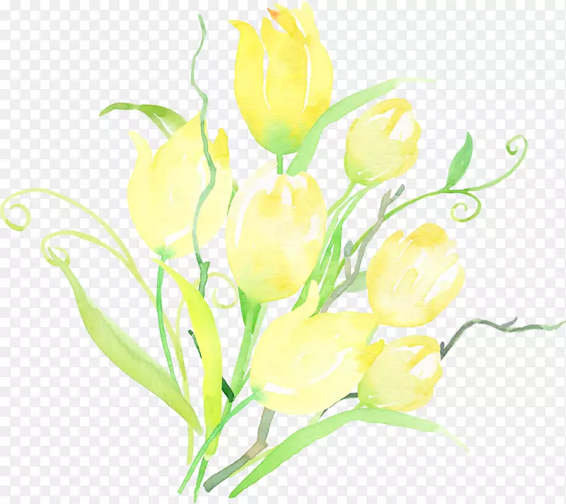 水彩水墨黄色清新花卉