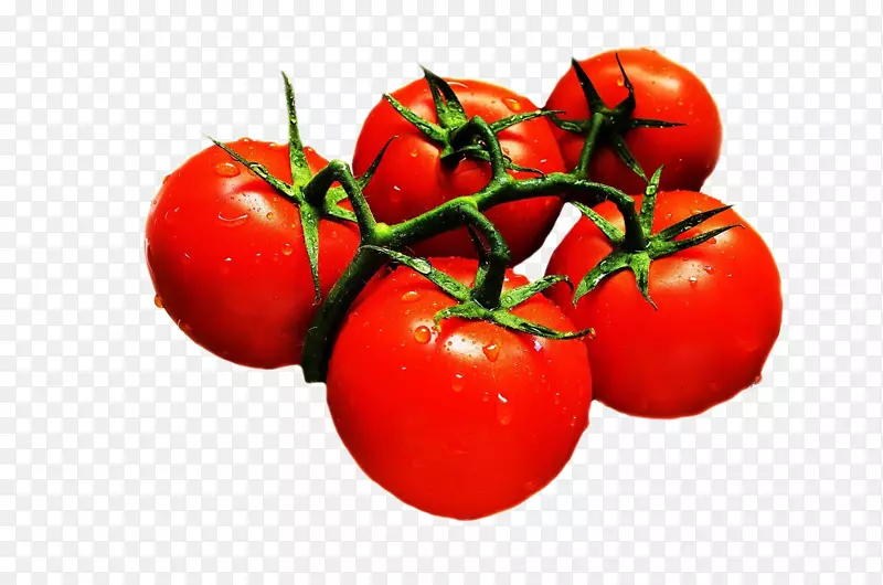 圣女果 西红柿 番茄 红色