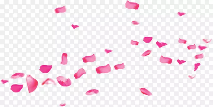 粉红色花瓣飘落