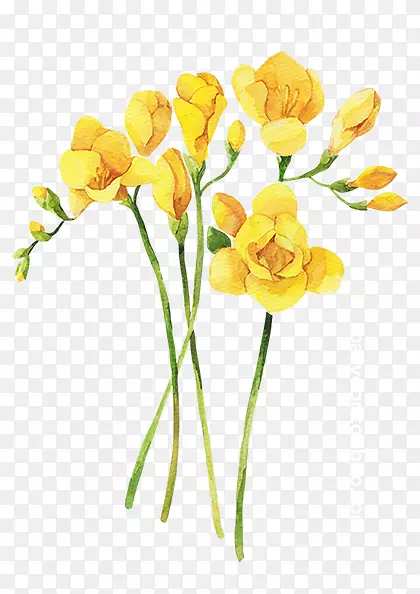 春季 春天 鲜花 黄色的花