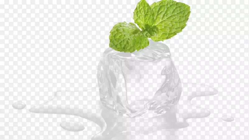 透明奶状冰块绿叶