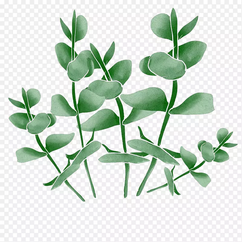 绿色植物装饰树叶