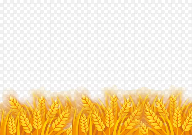 金黄小麦麦田元素